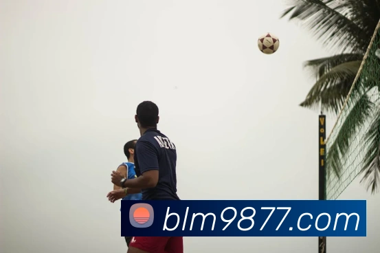 多彩内容专区